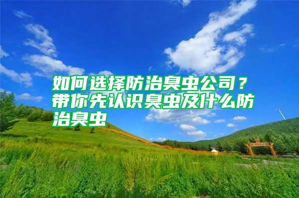 如何選擇防治臭蟲公司?帶你先認(rèn)識(shí)臭蟲及什么防治臭蟲