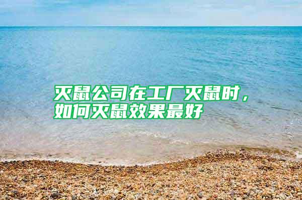 滅鼠公司在工廠滅鼠時,如何滅鼠效果最好