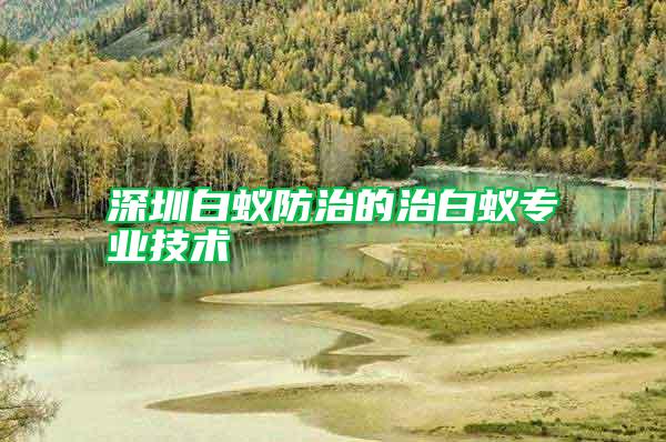 深圳白蟻防治的治白蟻專業技術