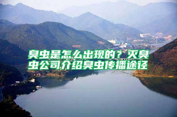 臭蟲是怎么出現(xiàn)的?滅臭蟲公司介紹臭蟲傳播途徑