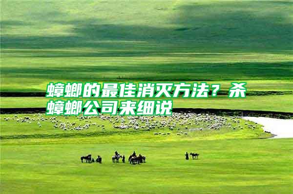 蟑螂的最佳消滅方法?殺蟑螂公司來細說