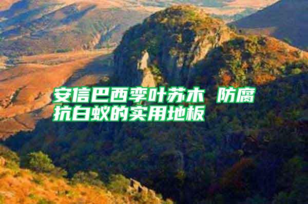 安信巴西孿葉蘇木 防腐抗白蟻的實(shí)用地板