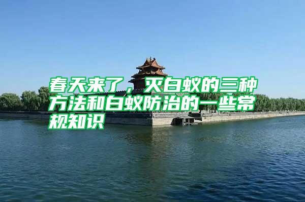 春天來了,滅白蟻的三種方法和白蟻防治的一些常規(guī)知識(shí)
