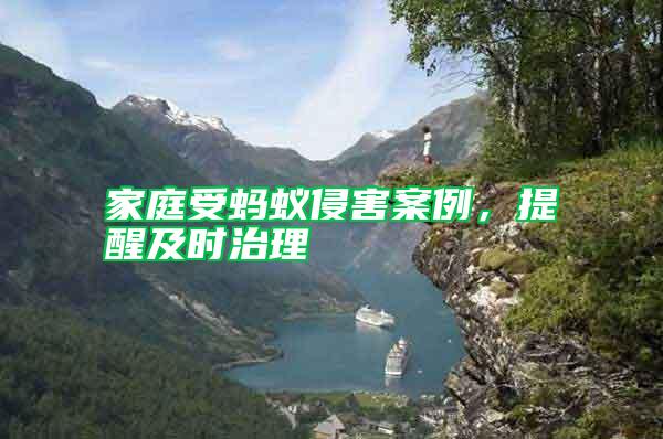 家庭受螞蟻侵害案例，提醒及時治理