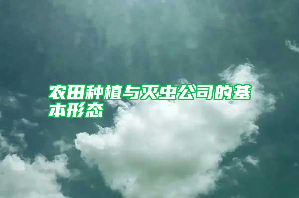 農(nóng)田種植與滅蟲公司的基本形態(tài)