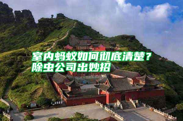 室內(nèi)螞蟻如何徹底清楚？除蟲公司出妙招