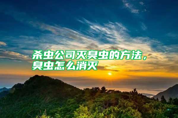 殺蟲(chóng)公司滅臭蟲(chóng)的方法，臭蟲(chóng)怎么消滅