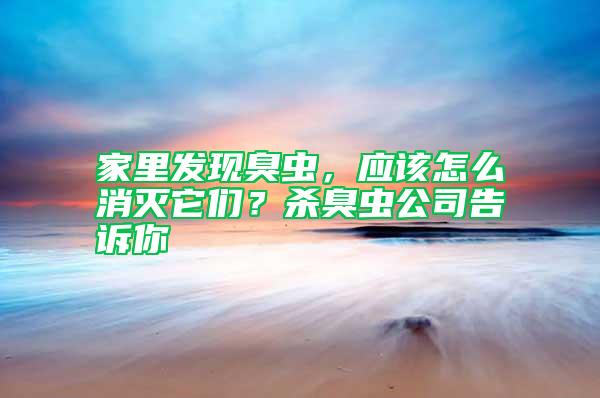 家里發(fā)現(xiàn)臭蟲,應該怎么消滅它們?殺臭蟲公司告訴你