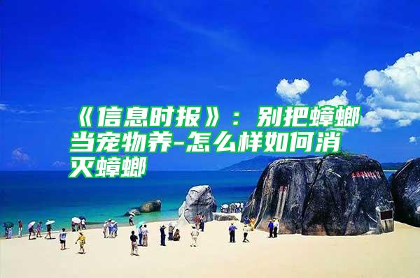 《信息時報》:別把蟑螂當寵物養(yǎng)-怎么樣如何消滅蟑螂