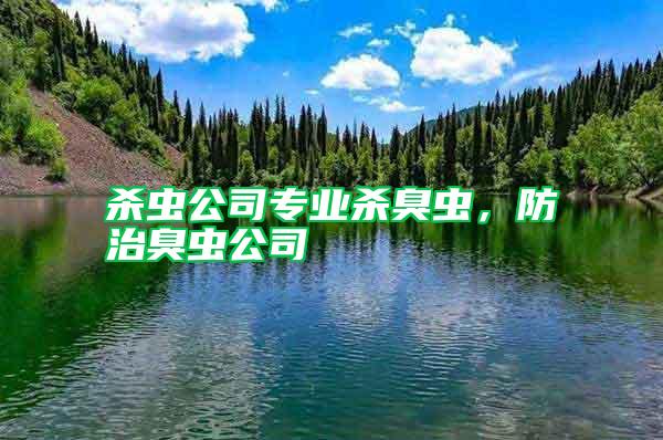 殺蟲公司專業(yè)殺臭蟲,防治臭蟲公司