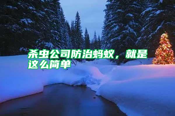 殺蟲公司防治螞蟻,就是這么簡單