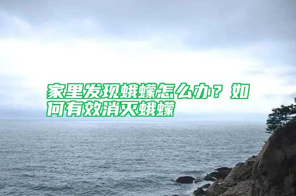 家里發(fā)現(xiàn)蛾蠓怎么辦?如何有效消滅蛾蠓