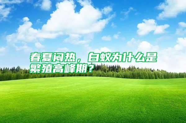 春夏悶熱,白蟻為什么是繁殖高峰期?