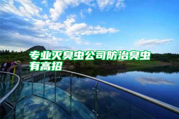 專業滅臭蟲公司防治臭蟲有高招