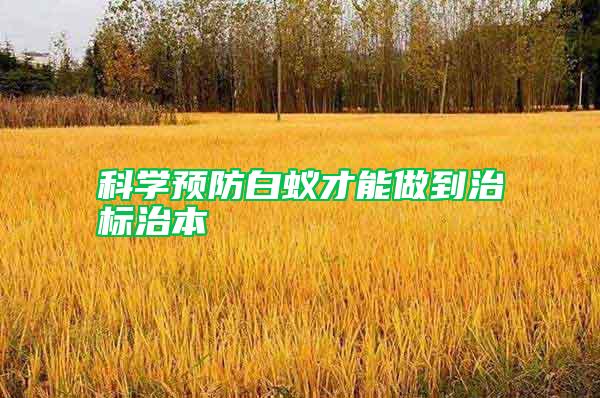 科學(xué)預(yù)防白蟻才能做到治標(biāo)治本