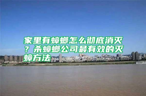 家里有蟑螂怎么徹底消滅？殺蟑螂公司最有效的滅蟑方法