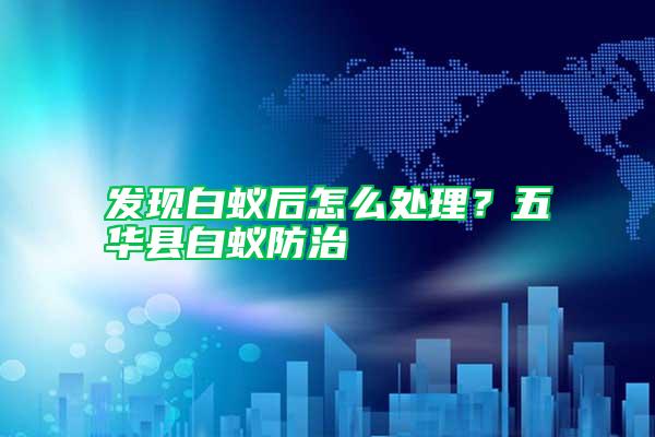 發現白蟻后怎么處理?五華縣白蟻防治