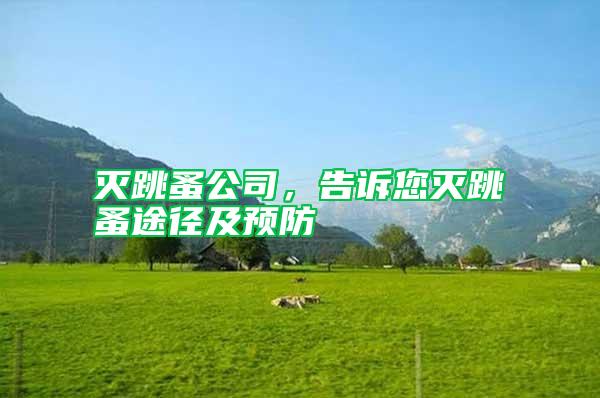 滅跳蚤公司,告訴您滅跳蚤途徑及預防