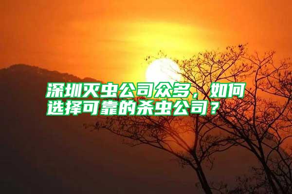 深圳滅蟲公司眾多，如何選擇可靠的殺蟲公司？