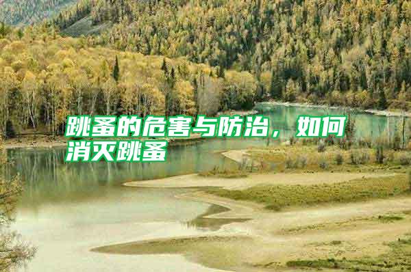 跳蚤的危害與防治,如何消滅跳蚤