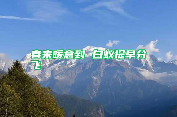 春來暖意到 白蟻提早分飛