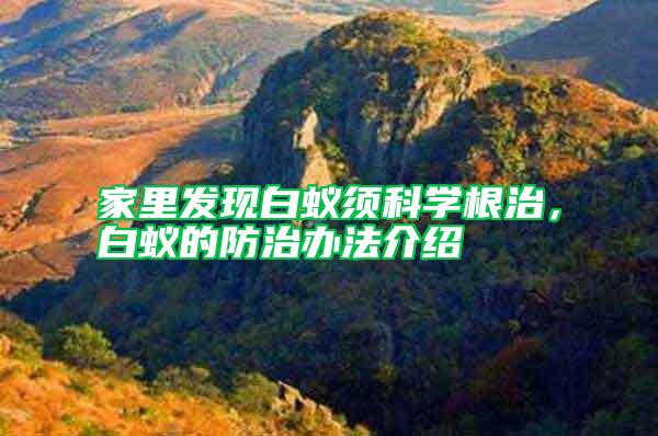 家里發(fā)現(xiàn)白蟻須科學(xué)根治,白蟻的防治辦法介紹