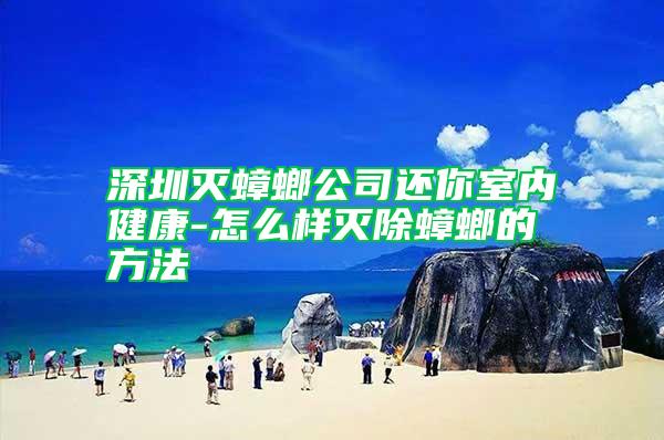 深圳滅蟑螂公司還你室內健康-怎么樣滅除蟑螂的方法