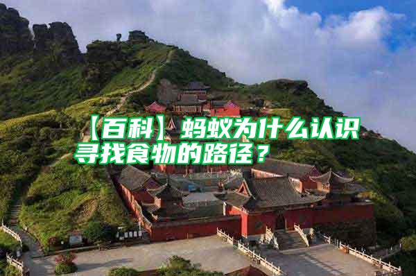 【百科】螞蟻為什么認(rèn)識(shí)尋找食物的路徑?