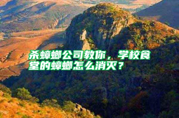 殺蟑螂公司教你,學校食堂的蟑螂怎么消滅?