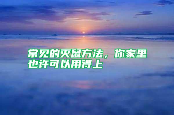 常見的滅鼠方法,你家里也許可以用得上