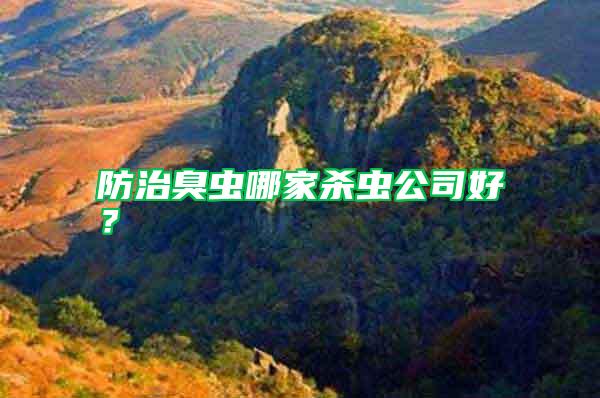 防治臭蟲哪家殺蟲公司好?