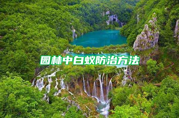 園林中白蟻防治方法