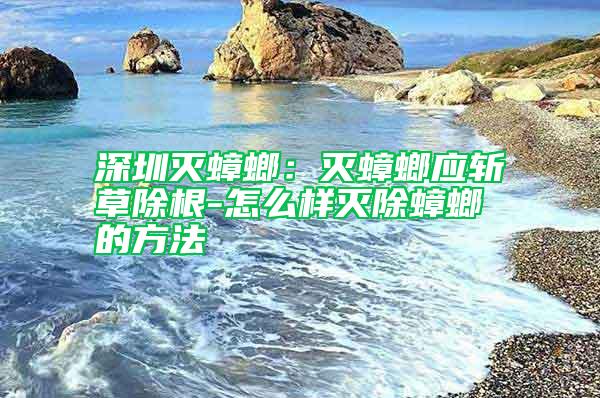 深圳滅蟑螂:滅蟑螂應斬草除根-怎么樣滅除蟑螂的方法