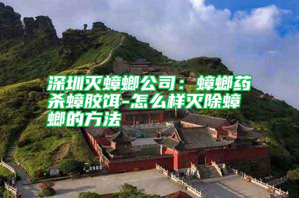 深圳滅蟑螂公司:蟑螂藥殺蟑膠餌-怎么樣滅除蟑螂的方法