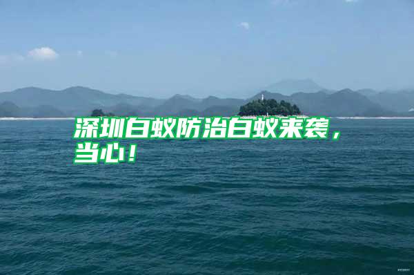 深圳白蟻防治白蟻來襲,當心!