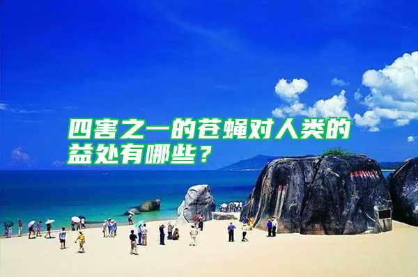 四害之一的蒼蠅對(duì)人類的益處有哪些?