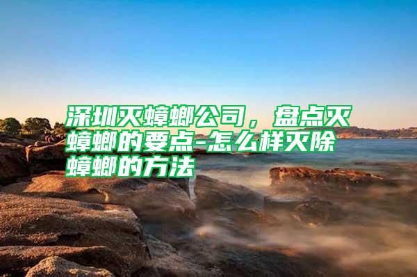 深圳滅蟑螂公司,盤點滅蟑螂的要點-怎么樣滅除蟑螂的方法