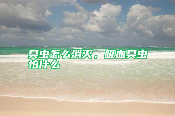 臭蟲(chóng)怎么消滅,吸血臭蟲(chóng)怕什么