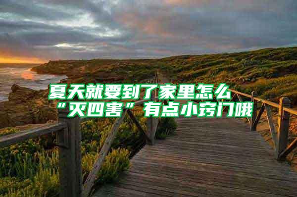 夏天就要到了家里怎么“滅四害”有點小竅門哦
