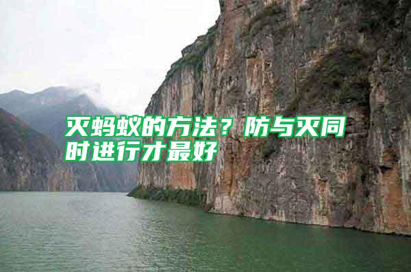 滅螞蟻的方法?防與滅同時進行才最好