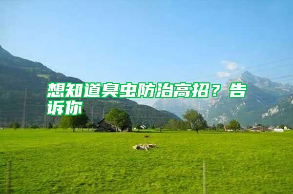 想知道臭蟲防治高招?告訴你