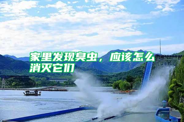 家里發(fā)現(xiàn)臭蟲，應(yīng)該怎么消滅它們