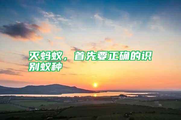 滅螞蟻，首先要正確的識別蟻種
