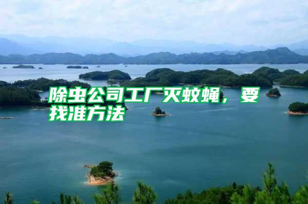 除蟲公司工廠滅蚊蠅,要找準方法