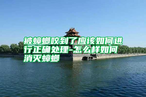 被蟑螂咬到了應(yīng)該如何進(jìn)行正確處理-怎么樣如何消滅蟑螂