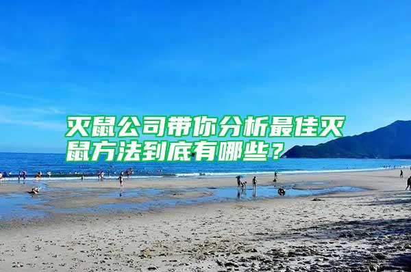 滅鼠公司帶你分析最佳滅鼠方法到底有哪些？