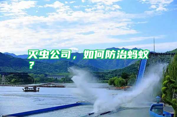 滅蟲公司,如何防治螞蟻?