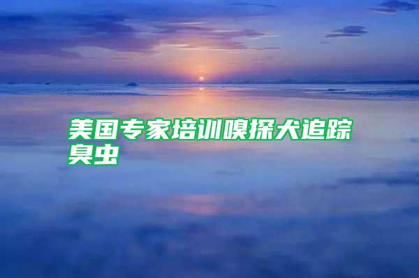 美國(guó)專(zhuān)家培訓(xùn)嗅探犬追蹤臭蟲(chóng)