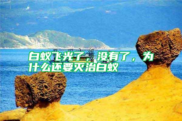 白蟻飛光了,沒(méi)有了,為什么還要滅治白蟻