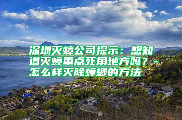 深圳滅蟑公司提示:想知道滅蟑重點死角地方嗎?-怎么樣滅除蟑螂的方法